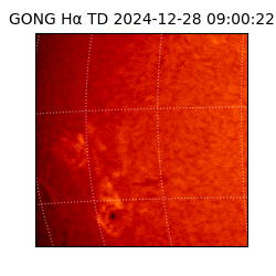 gong - 2024-12-28T09:00:22