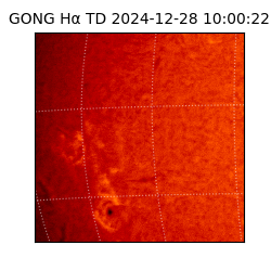 gong - 2024-12-28T10:00:22