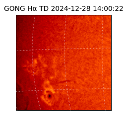 gong - 2024-12-28T14:00:22