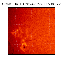 gong - 2024-12-28T15:00:22