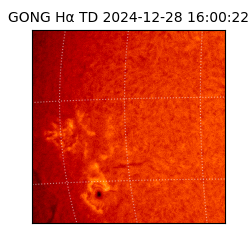 gong - 2024-12-28T16:00:22