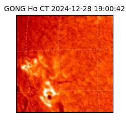 gong - 2024-12-28T19:00:42