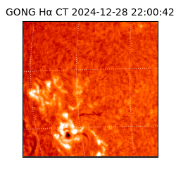 gong - 2024-12-28T22:00:42