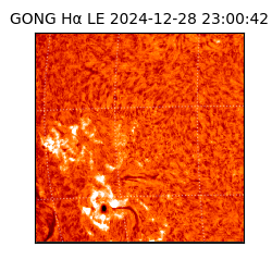 gong - 2024-12-28T23:00:42