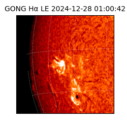 gong - 2024-12-28T01:00:42