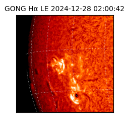 gong - 2024-12-28T02:00:42