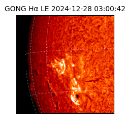 gong - 2024-12-28T03:00:42