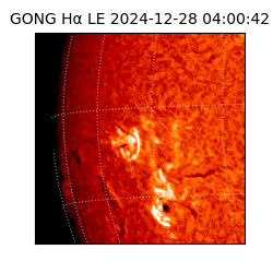 gong - 2024-12-28T04:00:42