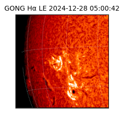 gong - 2024-12-28T05:00:42