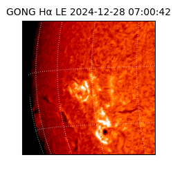 gong - 2024-12-28T07:00:42
