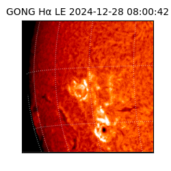 gong - 2024-12-28T08:00:42