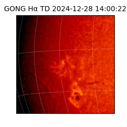 gong - 2024-12-28T14:00:22