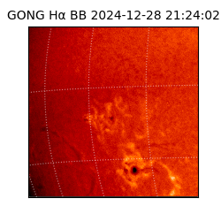 gong - 2024-12-28T21:24:02