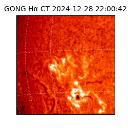 gong - 2024-12-28T22:00:42