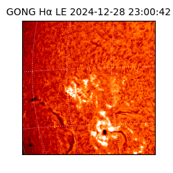 gong - 2024-12-28T23:00:42