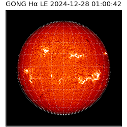 gong - 2024-12-28T01:00:42