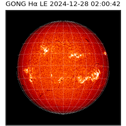 gong - 2024-12-28T02:00:42