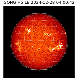 gong - 2024-12-28T04:00:42
