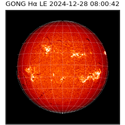 gong - 2024-12-28T08:00:42