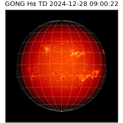 gong - 2024-12-28T09:00:22