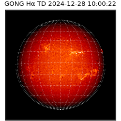gong - 2024-12-28T10:00:22