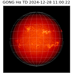 gong - 2024-12-28T11:00:22