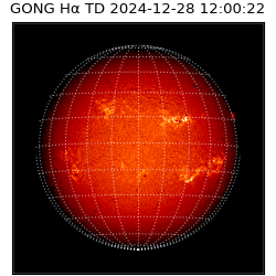 gong - 2024-12-28T12:00:22