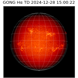 gong - 2024-12-28T15:00:22