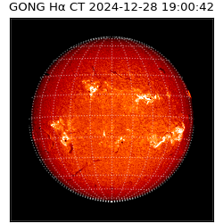 gong - 2024-12-28T19:00:42
