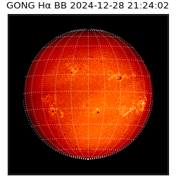 gong - 2024-12-28T21:24:02