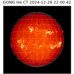 gong - 2024-12-28T22:00:42