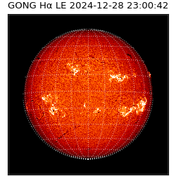 gong - 2024-12-28T23:00:42