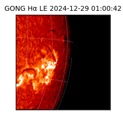 gong - 2024-12-29T01:00:42