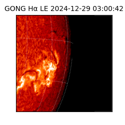 gong - 2024-12-29T03:00:42