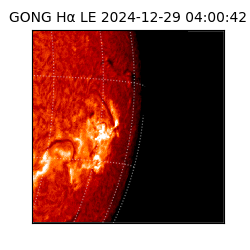 gong - 2024-12-29T04:00:42