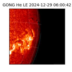 gong - 2024-12-29T06:00:42