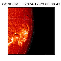gong - 2024-12-29T08:00:42