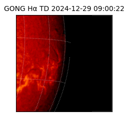 gong - 2024-12-29T09:00:22