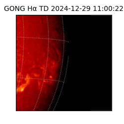 gong - 2024-12-29T11:00:22