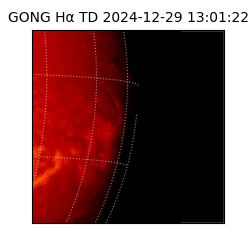 gong - 2024-12-29T13:01:22