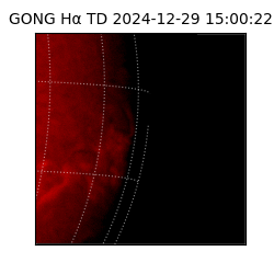 gong - 2024-12-29T15:00:22