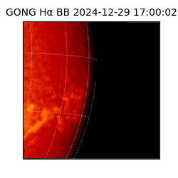 gong - 2024-12-29T17:00:02