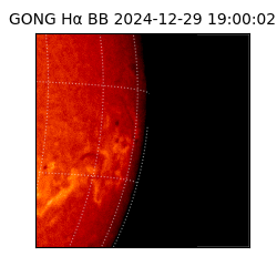 gong - 2024-12-29T19:00:02