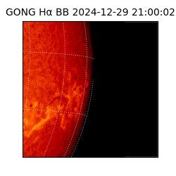 gong - 2024-12-29T21:00:02