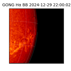 gong - 2024-12-29T22:00:02