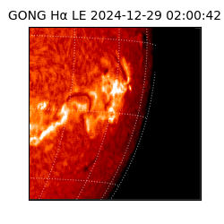 gong - 2024-12-29T02:00:42