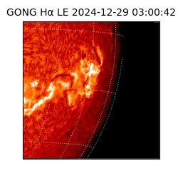 gong - 2024-12-29T03:00:42