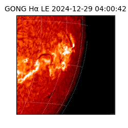 gong - 2024-12-29T04:00:42