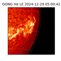 gong - 2024-12-29T05:00:42