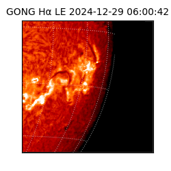 gong - 2024-12-29T06:00:42